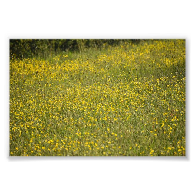 Blommor Fototryck (Framsidan)