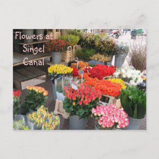 Blommor från Amsterdam Vykort