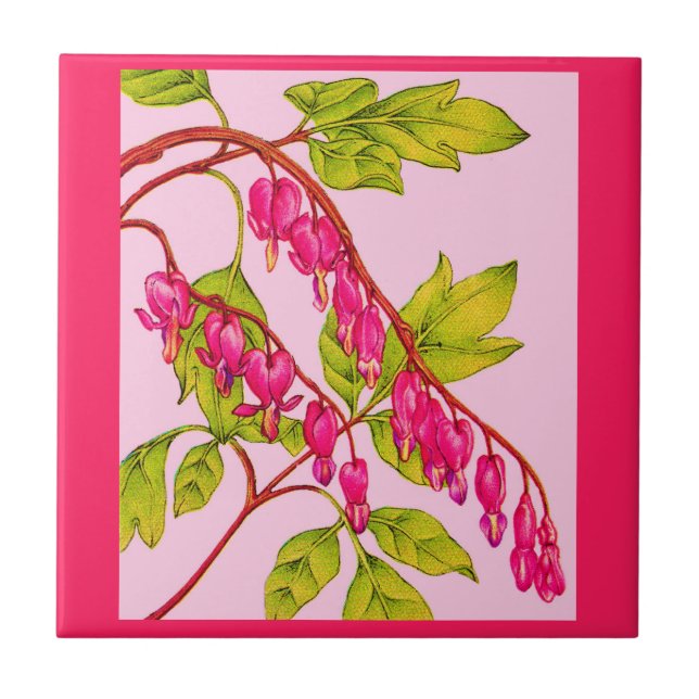 blommor från blödarhjärtan kakelplatta (Framsidan)