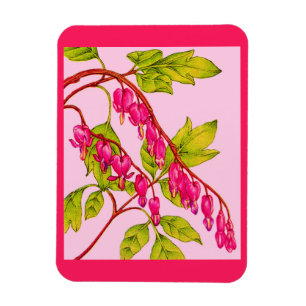 blommor från blödarhjärtan magnet