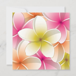 Blommor från Bright Frangipani/Plumeria