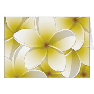 Blommor från Bright Frangipani/Plumeria OBS Kort