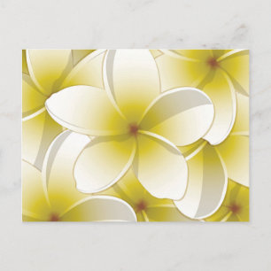 Blommor från Bright Frangipani/Plumeria Vykort