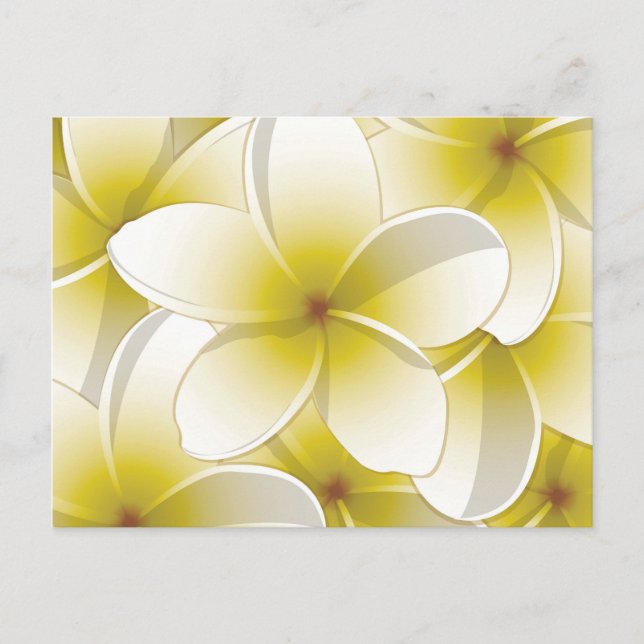 Blommor från Bright Frangipani/Plumeria Vykort (Framsida)