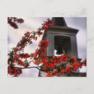 Blommor från Gamla Lynchburg Virginia-kyrkogården Vykort