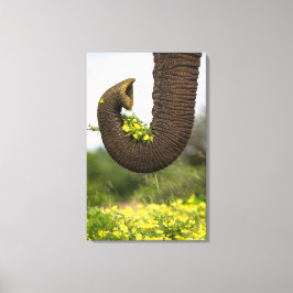 Blommor från Giant Canvastryck