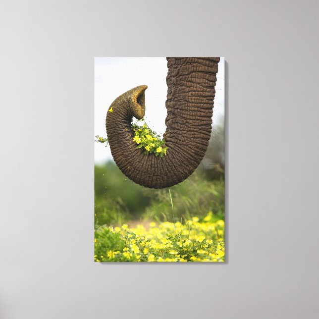 Blommor från Giant Canvastryck (Framsida)