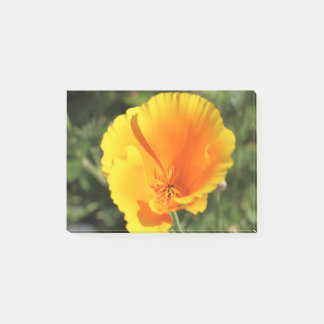 Blommor från Kalifornien-vallmo Post-it Block