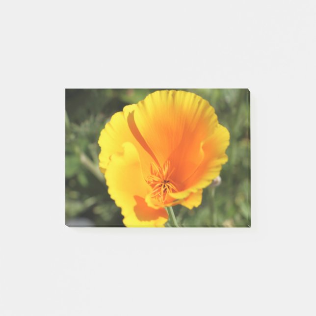 Blommor från Kalifornien-vallmo Post-it Block (Framsida)