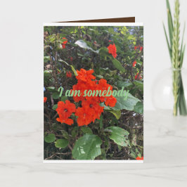 blommor från kärlek från någon som bryr sig. kort