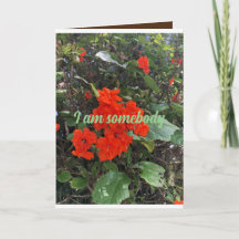 blommor från kärlek från någon som bryr sig.