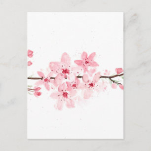Blommor från körsbärsblommor blommar vykort
