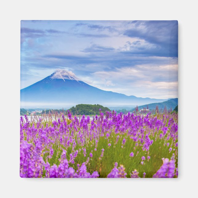 Blommor | Fugi Japan Magnet (Framsidan)
