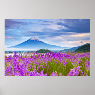 Blommor Fugi Japan Poster