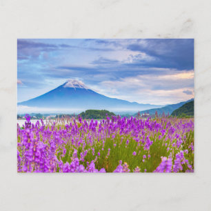 Blommor   Fugi Japan Vykort
