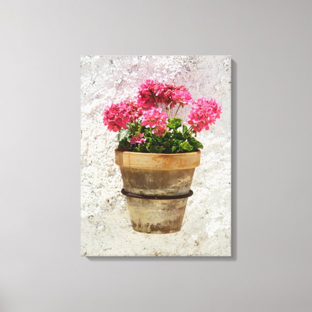 Blommor | Geranium i blomning i Pot Canvastryck (Framsida)
