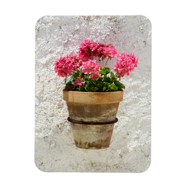 Blommor | Geranium i blomning i Pot Magnet (Vertikal)