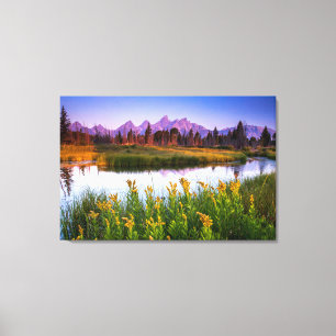 Blommor Grand Teton National Park Wyoming Canvastryck