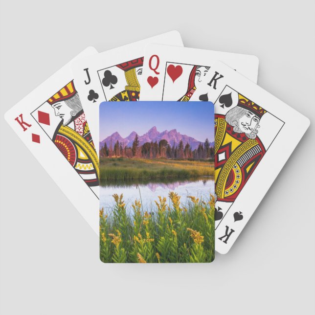 Blommor | Grand Teton National Park Wyoming Casinokort (Baksidan)