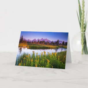 Blommor Grand Teton National Park Wyoming Kort
