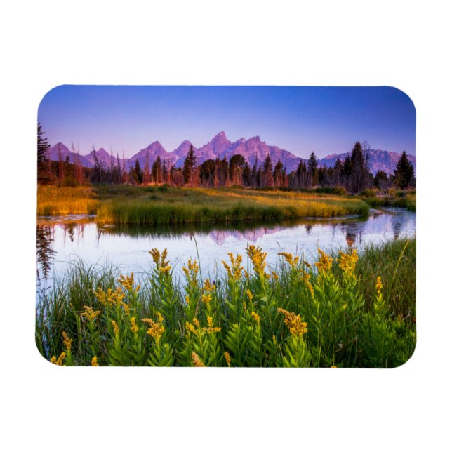 Blommor | Grand Teton National Park Wyoming Magnet (Horisontell)