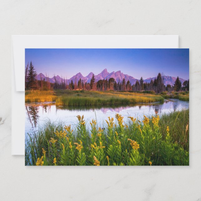 Blommor | Grand Teton National Park Wyoming Tack Kort (Framsida)