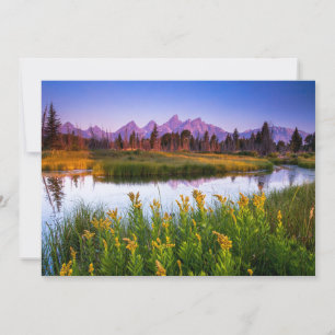 Blommor Grand Teton National Park Wyoming Tack Kort