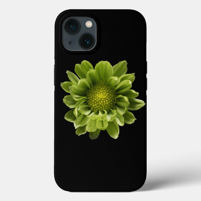 Blommor | Grönt Chrysanthemum (Baksida)