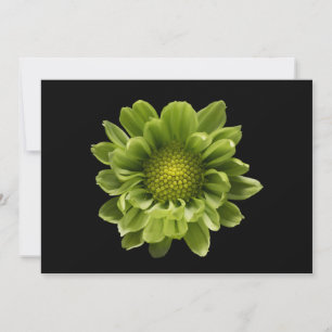Blommor Grönt Chrysanthemum Tack Kort