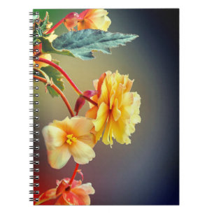 Blommor, Gula blommor, Petals-63158 Anteckningsbok