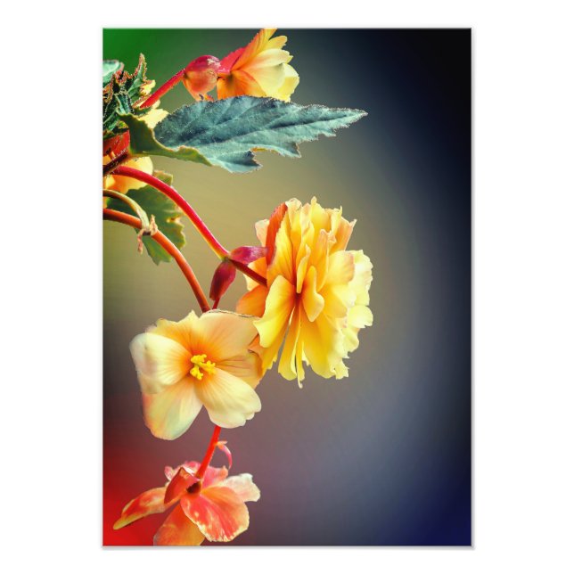 Blommor, Gula blommor, Petals-63158 Fototryck (Framsidan)