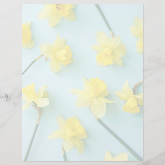 Blommor | Gult Daffodils (Framsida)