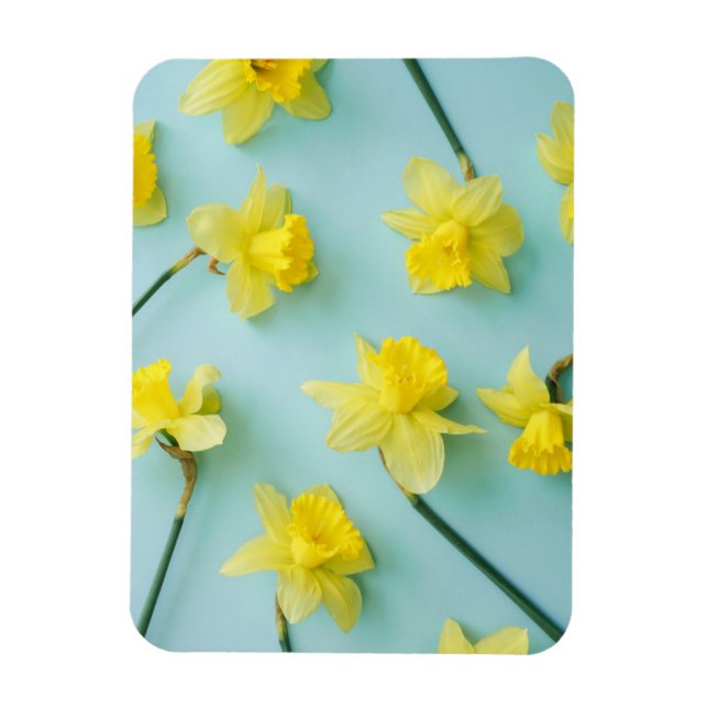 Blommor | Gult Daffodils Magnet (Vertikal)