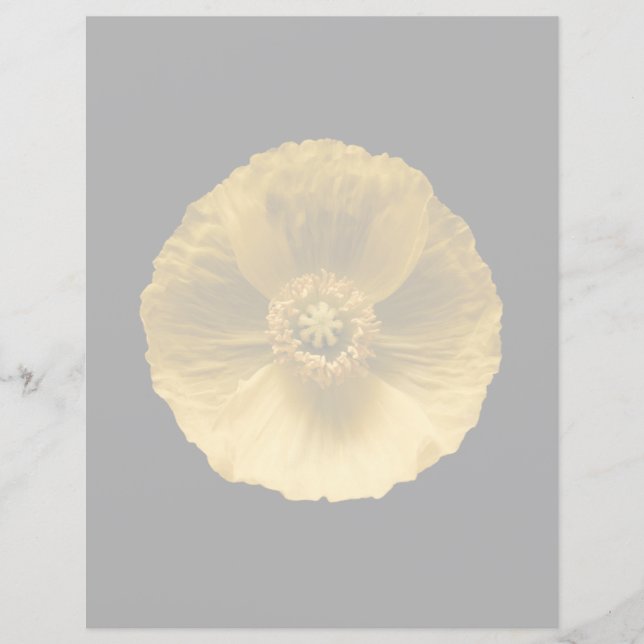 Blommor | Gult Poppy (Framsida)