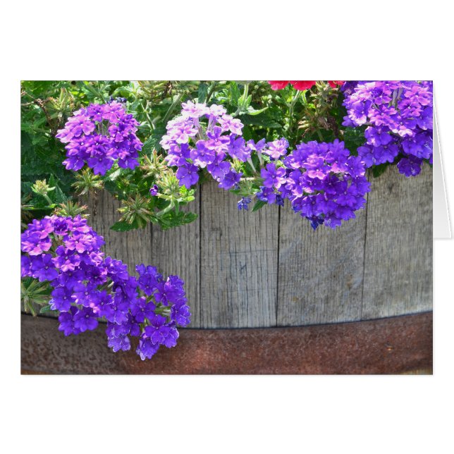 Blommor Hälsningskort (Framsidan Horizontal)