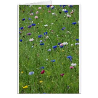 blommor hälsningskort