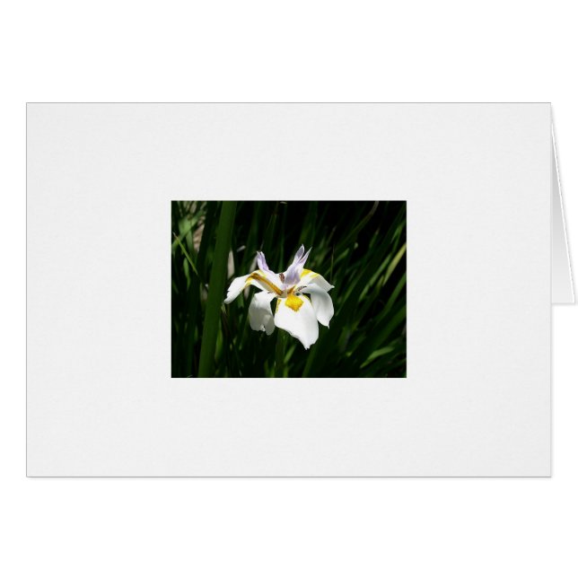 Blommor Hälsningskort (Framsidan Horizontal)