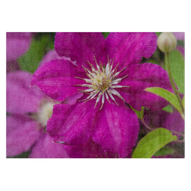 Blommor hos Robinette's Apple Haus and Gift Barn 2 (Framsidan)