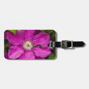 Blommor Hos Robinette's Apple Haus & Gift Barn Bagagebricka
