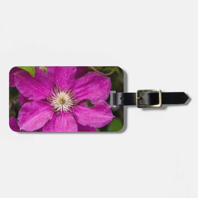 Blommor Hos Robinette's Apple Haus & Gift Barn Bagagebricka (Horisontell Framsida)