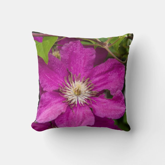 Blommor Hos Robinette's Apple Haus & Gift Barn Kudde (Framsida)