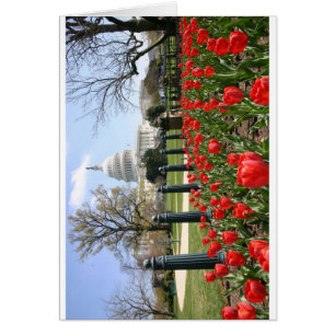 Blommor Huvudstad vår Hälsningskort