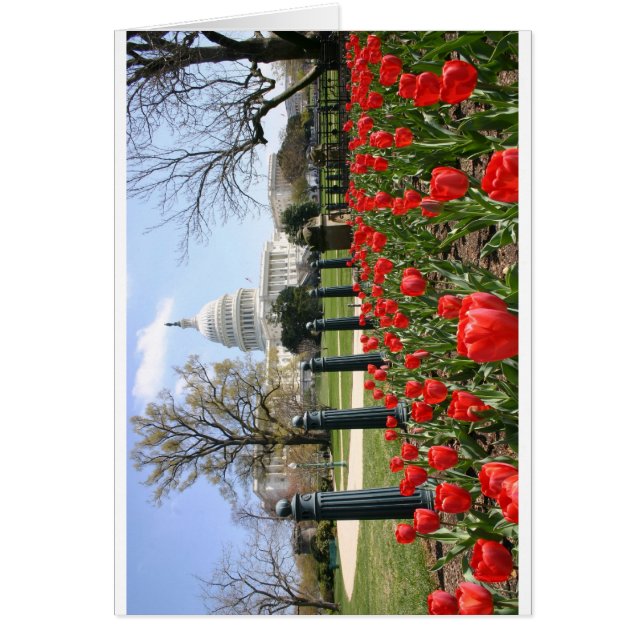 Blommor Huvudstad vår Hälsningskort (Framsidan)