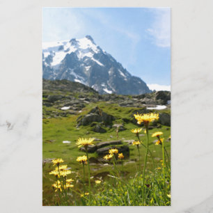 Blommor i Alperna - vacker!