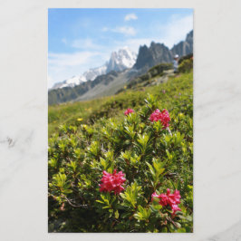 Blommor i Alpernorna - vackra!