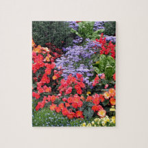 Blommor i Anchorage, Alaska, USA