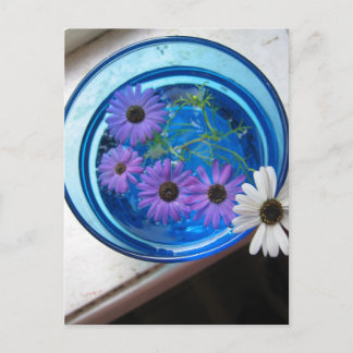 Blommor i blå pool vykort