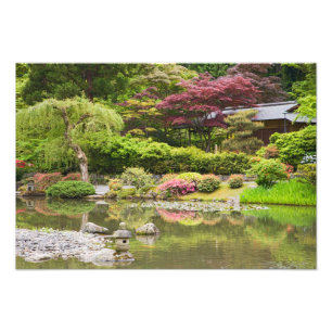 Blommor i blom vid Japanska trädgården, Fototryck