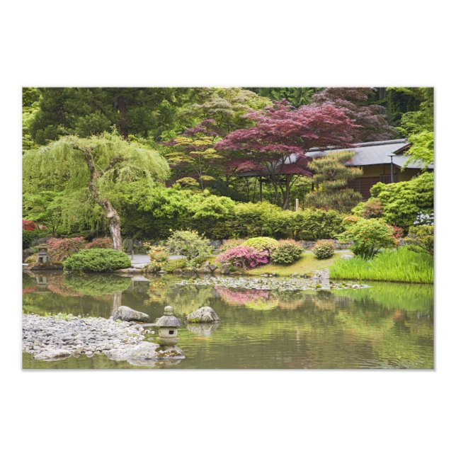 Blommor i blom vid Japanska trädgården, Fototryck (Framsidan)