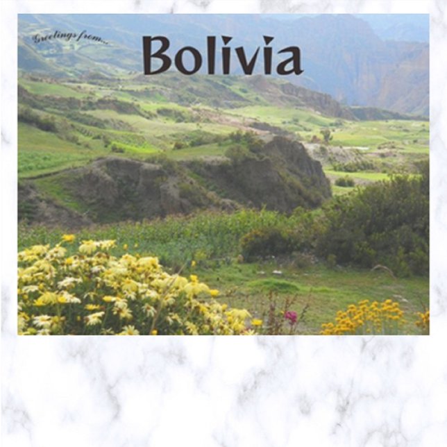 Blommor i Bloom Valley i Souls Bolivia Vykort (Skapare uppladdad)